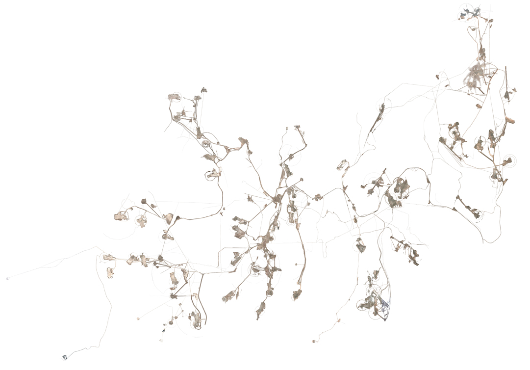 cutout of satellite imagery of detonation sites and the pathways connecting them