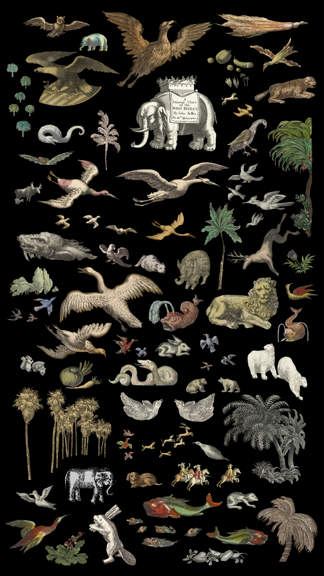 A collage of cutouts against a black backdrop, showing tropical plants alongside birds, fish, and other animals, some of which are depicted inaccurately or appear based on fantasy