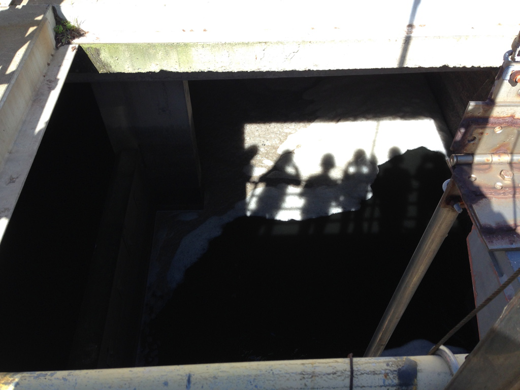 The shadows of tour participants taking photos, seen in the frothy water of a wastewater treatment plant