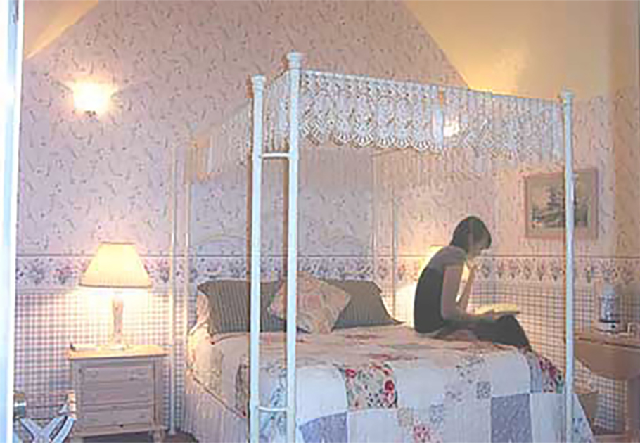 Jenny Odell photoshopped into a bed and breakfast canopy bed, appearing to write in her journal